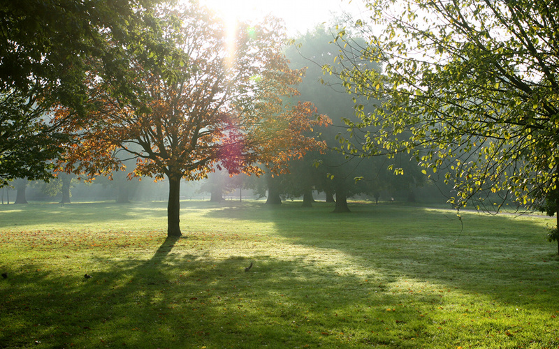 Tooting Bec Common, London
